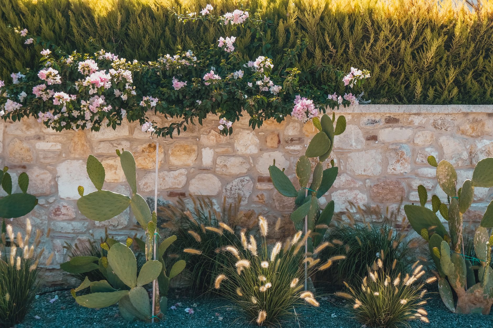 Préparer son jardin au printemps à Capbreton — image illustrative
